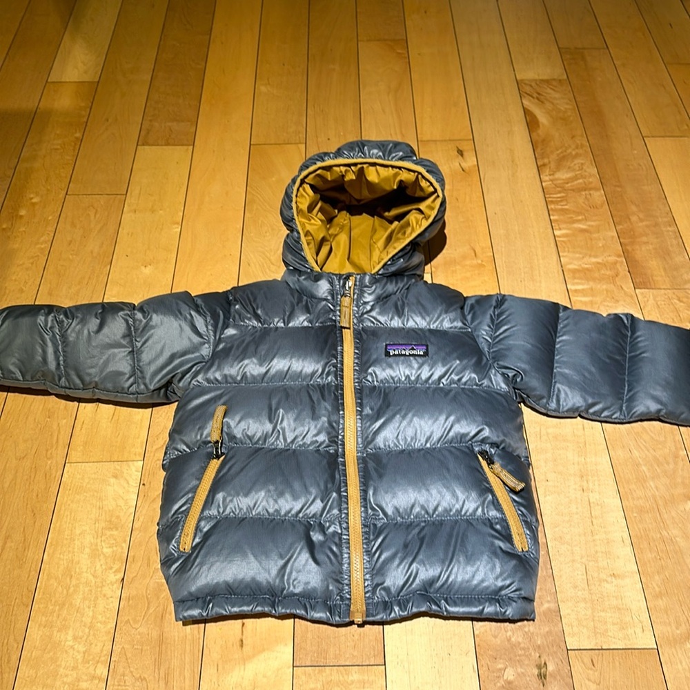 Patagonia Hi-Loft Down Sweater Hoody - 2T